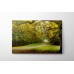 Doğa ile Buluşma Alanı Kanvas Tablo