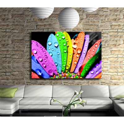 Renkli Islak Yapraklar Kanvas Tablo