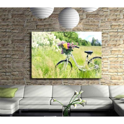 Bisiklet ile Orman Keyfi Kanvas Tablo