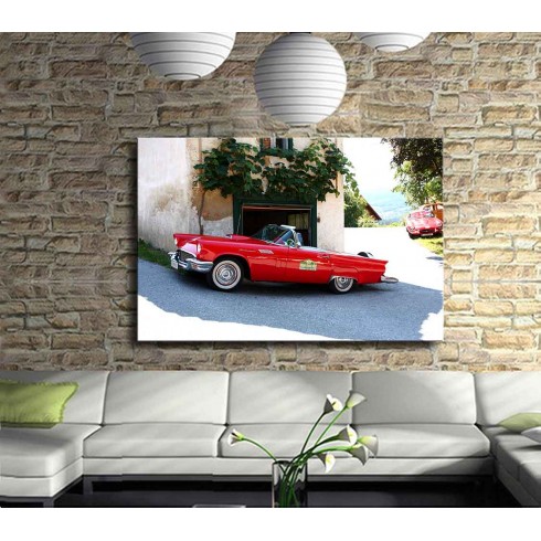 Kırmızı Rüya Kanvas Tablo 