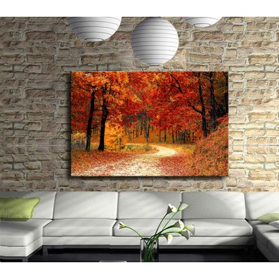 Ormanda Yürüyüş Yolları Kanvas Tablo