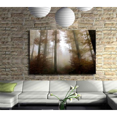 Ormanda Sis Kalkıyor Kanvas Tablo