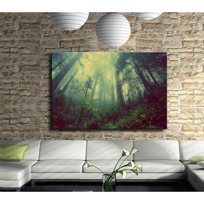 Gizemli Orman Kanvas Tablo