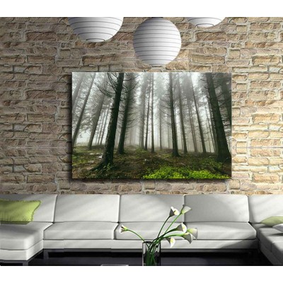 Ormanda Kaybolmak Kanvas Tablo