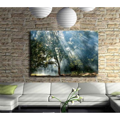 Doğanın Uyanışı Kanvas Tablo