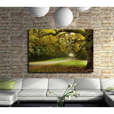 Orman Kavşağı Kanvas Tablo