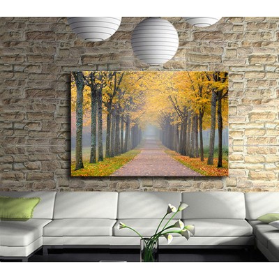 Ağaçlı Yol Kanvas Tablo