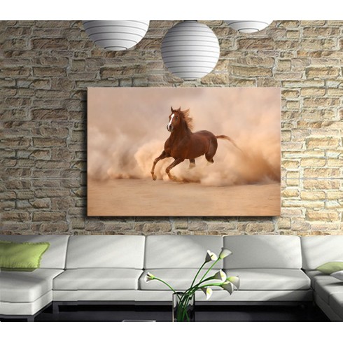 Tozu Dumana Katan At Kanvas Tablo