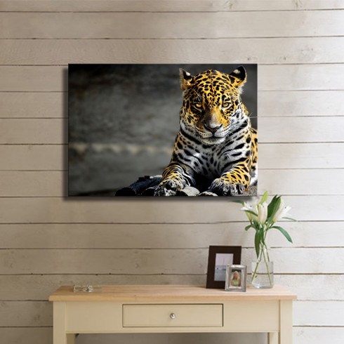 Vahşi Asalet Kanvas Tablo