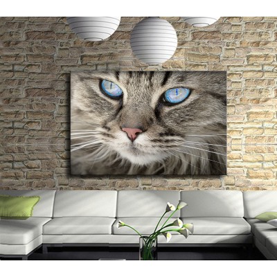Gri Kedinin Gözleri Kanvas Tablo
