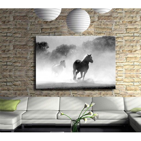Special Horses Kanvas Tablo