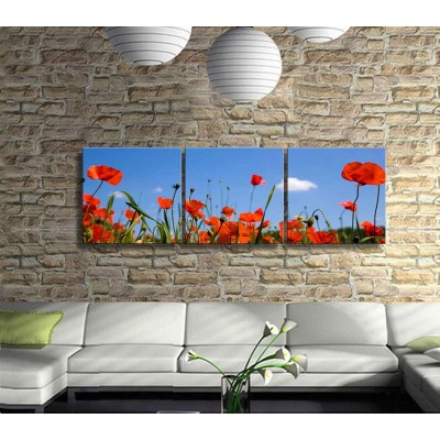 3 Parça Gelincik Kanvas Tablo Panoramik