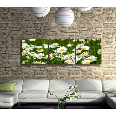 Kırların En Sevilen Çiçeği Papatyalar Panoramik 3 Parça Kanvas Tablo 