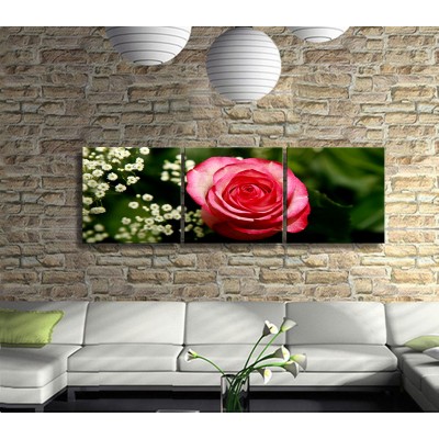 Pembe Gülün Yaprakları Panoramik 3 Parça Kanvas Tablo 