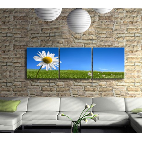 Selfie Çeken Papatya Panoramik 3 Parça Kanvas Tablo 
