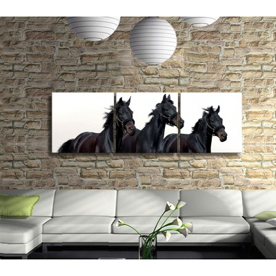 Atların Güzelliği Panoramik 3 Parça Kanvas Tablo