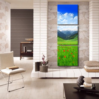 Dağın Eteklerinde ki Gelincikler Dikey Panoramik 3 Parça Kanvas Tablo