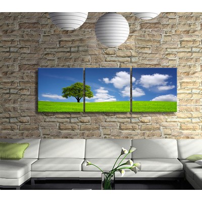 Yaşamak Panoramik 3 Parça Kanvas Tablo