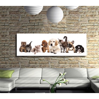 Kedi ve Köpek Yavruları Panoramik Kanvas Tablo