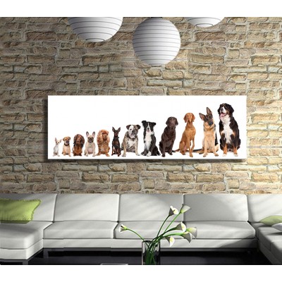 Sıraya Dizilmiş Köpekler Panoramik Kanvas Tablo