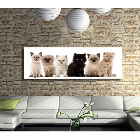 Kedi Yavruları Panoramik Kanvas Tablo