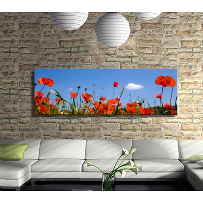 Gelincikler Panoramik Kanvas Tablo