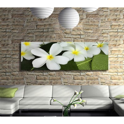Beyaz Çiçeklerin Masumiyeti Panoramik Kanvas Tablo