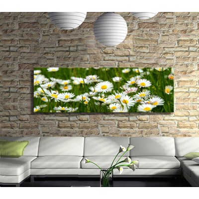 Papatyalar Panoramik Kanvas Tablo