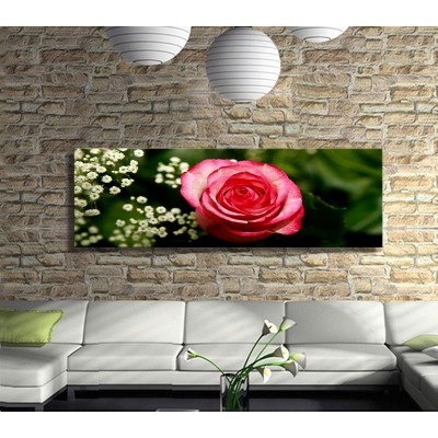 Pembe Gülün Katları Panoramik Kanvas Tablo