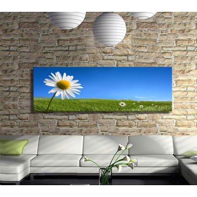 Papatyanın Selfiesi Panoramik Kanvas Tablo