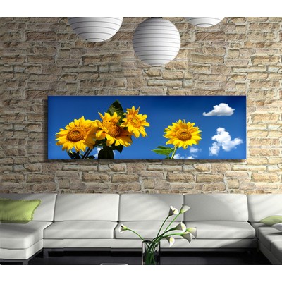 Gökyüzüne Bakan Ayçiçekleri Panoramik Kanvas Tablo