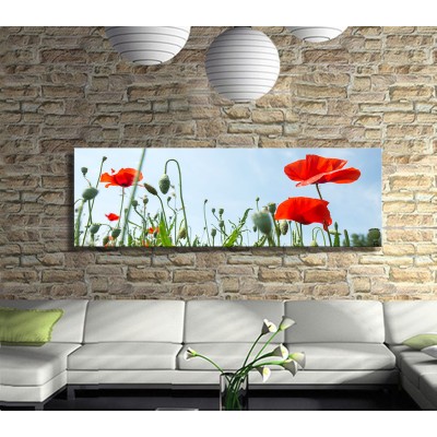 Doğa Ananın Çoçuğu Gelincikler Panoramik Kanvas Tablo