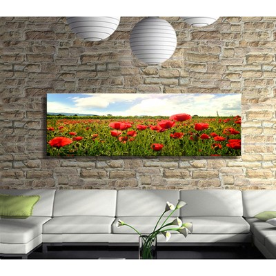 İlk Baharın Habercisi Gelincikler Panoramik Kanvas Tablo