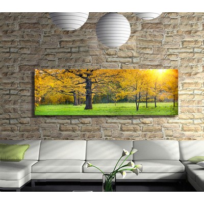 Sarı Yapraklar Panoramik Kanvas Tablo