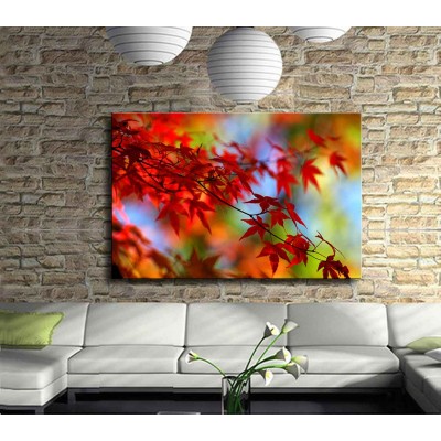 Sarı Sonbaharın Kırmızı Yaprakları Kanvas Tablo