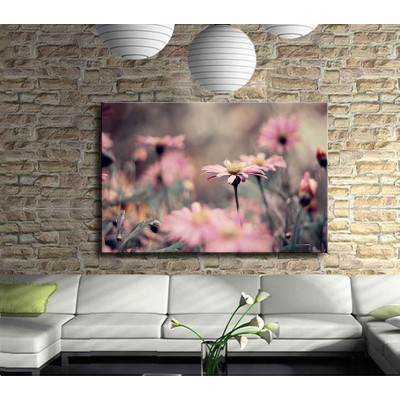 Kasımpatı Pembesi Kanvas Tablo