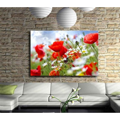 Gelincik ve Papatya Kanvas Tablo