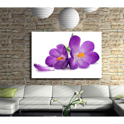 Mor Çiçeğin Asaleti Kanvas Tablo