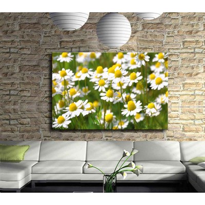 Aylardan Mayıs Kanvas Tablo