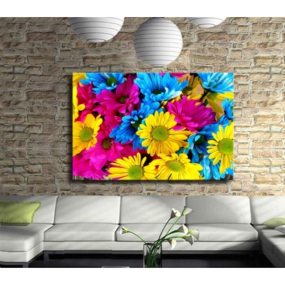 Papatya ve Renkli Kanvas Tablo
