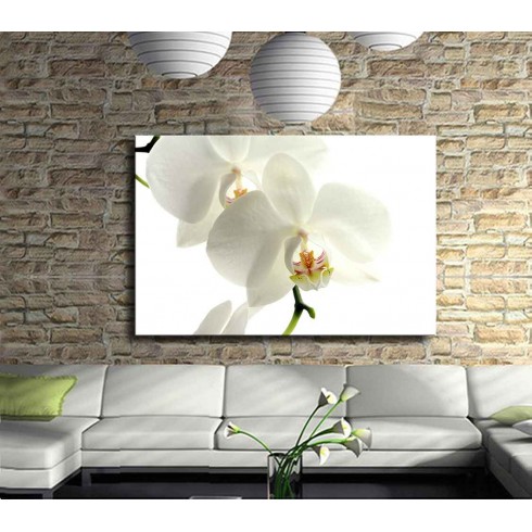 Beyaz Orkide Kanvas Tablo