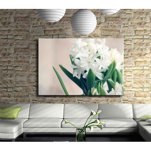 Beyaz Sümbül Kanvas Tablo