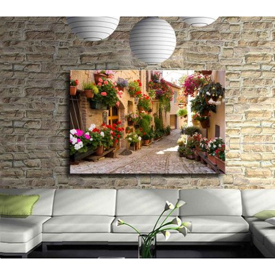 Egenin Begonvilli Sardunyalı Sokakları Kanvas Tablo