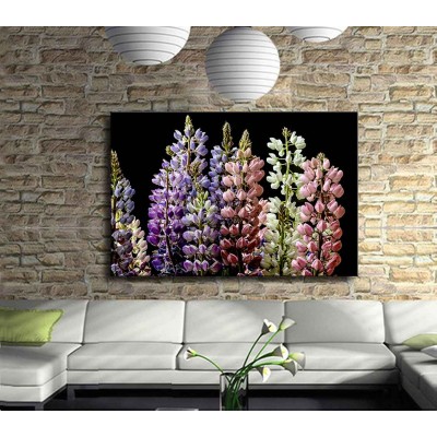 Çoban Çantası Çiçeği Kanvas Tablo