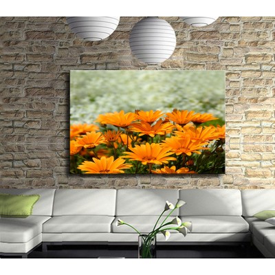 Turuncu Bodrum Papatyaları Kanvas Tablo