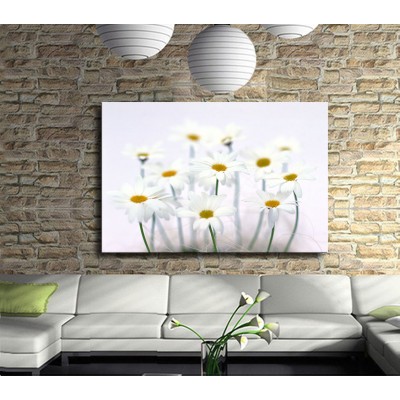 Mutluluk Çiçekleri Beyaz Papatyalar Kanvas Tablo