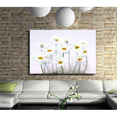 Mutluluk Çiçekleri Beyaz Papatyalar Kanvas Tablo
