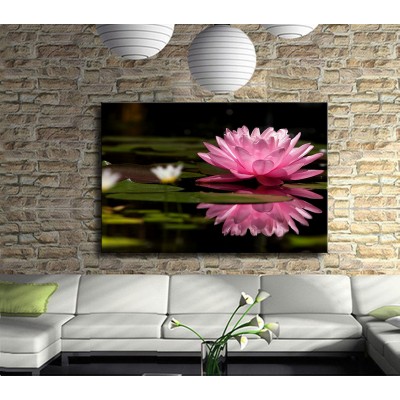  Pembe Nilüfer Çiçeği Kanvas Tablo