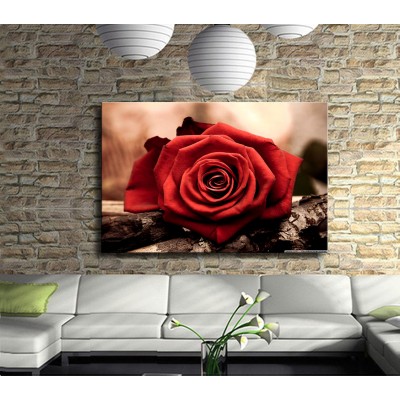 Kırmızı Gülün Güzelliği Kanvas Tablo