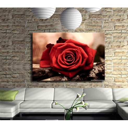 Kırmızı Gülün Güzelliği Kanvas Tablo